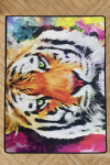 Asir vaip Mava Djt 80x140 cm