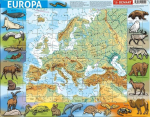 F&uuml;&uuml;siline Euroopa raamipuzzle - Kirjastus Demart