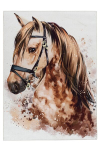 Vaip Sympathy , 160x230 cm, pruun