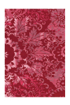 Vaip Satin 8061, 170x240 cm, punane