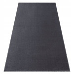 Antratsiitvaip 100x250 cm, pehme, sile, noortele
