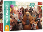 Pusle Trefl Sweet Selfie 5900511154443 160 t&uuml;kki