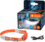 Ledvance esilatern laetav Cob 3w 300lm