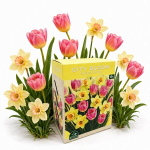 S&uuml;gisel istutatavate lillesibulate komplekt City Bloom Sweet Pastel Nojus 15 tk