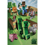 Laste fliistekk Minecraft, 100x150 cm