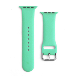 Asendusrihm Apple Watchile 8/7/6/5/4/3/2/SE (45/44/42mm) Mint