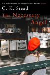 Necessary Angel Main