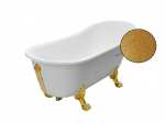 Vann Besco Olaya Glam 160, Gold+Gold