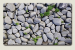 Vannitoavaip Benedomo, 60 x 100 cm