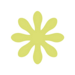 Dekoratiivne augustaja, Lill, 75 mm