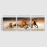 Kolmeosaline Reproduktsioon Hobused