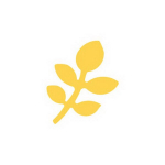 Dekoratiivne augustaja, Oksake, 25 mm