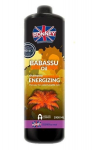 Energiat andev &scaron;ampoon Ronney Professional Babassu Oil 1000 ml