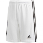 Meeste l&uuml;hikesed spordip&uuml;ksid Adidas Squadra 21 Short Youth Jr GN5766