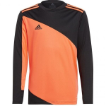 Poiste sportlik dressipluus Adidas Squadra 21 GoalKeeper Jersey Youth Jr GK9806