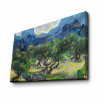 Reproduktsioon Starry Night (Vincent Van Gogh)