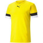 Meeste sportlik T-s&auml;rk Puma teamRise Jersey M 704932 07, kollane