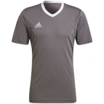 Meeste T-s&auml;rk Adidas Entrada 22 Jersey, hall