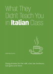 What They Didn't Teach You In Italian Class: Slang Phrases for the Cafe, Club, Bar, Bedroom, Ball Game and More
