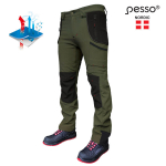 T&ouml;&ouml;p&uuml;ksid Pesso, roheline