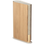 Bang & Olufsen Beosound Emerge Gold Tone