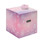 K&uuml;&uuml;nehoolduskomplekt advendikalender Technic