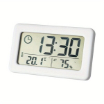 Sise&otilde;hu temperatuuri jaam