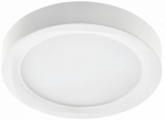 Lamp, LED, 24W, 1920Lm, 4000K, v/a, IP54, &uuml;mmargune, valge