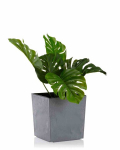 Lillepott Flore Grey Concrete, 19x19 cm