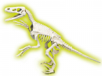 Dinosauruste fossiil Velociraptor Clementoni