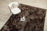 Vaip Blanca 300x200 cm, pruun