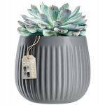 Keraamiline lillepott 14 cm, hall kate