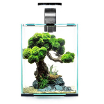 Akvaarium Aquael Shrimp Set Day&Night, 20 L, must, koos varustusega