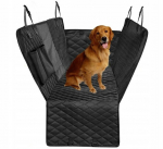 Koera auto istmekate - matt Korbi