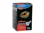 Rooma for reptiles - Neod&uuml;&uuml;mi - 75 W - &Oslash; 63 &times; 100 mm - 2 tk - Aknakujundus aquariumile