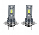 Auto pirnid H7, 2 tk