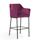 Baro tool Wood Garden Boston, violetne