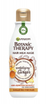 V&auml;rskendav mask v&auml;sinud ja &otilde;hukestele juustele Garnier Botanic Therapy Revitalizing Ginger Milk Mask, 250 ml