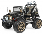 Kahekohaline elektriauto Peg Perego Gaucho XP 24V, must