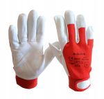 M-glove Nahkkindad Technik 2121x, suurus 10