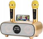 Kaasaskantav karaoke masin, Bluetooth, mikrofonid, Tf/usb, Aux-in, k&otilde;lar