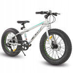 20-tolline 7-k&auml;iguline m&auml;giratas 4.0" Fat Tire rehvidega, ketaspidurid, 5+ aastat, valge