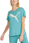 Puma T-S&auml;rgid Rtg Logo Tee Porcelain Mint 586454 61 586454 61/S