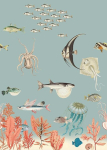 Rasch Onszelf Stories 557497 fototapeet fliisil v&auml;rviliste kalade ja veealuse maailmaga 280 cm x 200 cm (p x L)