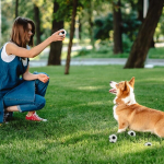 Szsmw 12-osaline pakk, pehmed pallid, mini jalgpall, jalgpallipeo kott, sobib igas vanuses, leevendab stressi ja l&otilde;&otilde;gastab, parandab liikuvust, sobib siseruumides m&auml;ngimiseks