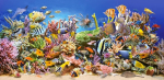 Castorland pusle &bdquo;underwater Life&ldquo; (4000 t&uuml;kki)