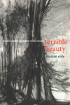 Terrible Beauty: The Violent Aesthetic and Twentieth-Century Literature