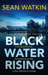 Black Water Rising: A tense and gripping Liverpool crime thriller, Black Water Rising: A tense and gripping Liverpool crime thriller