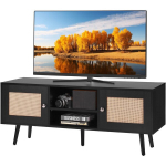 Rattan TV kapp 55-tollise teleri jaoks