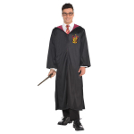 Hario Potteri kost&uuml;&uuml;m t&auml;iskasvanutele